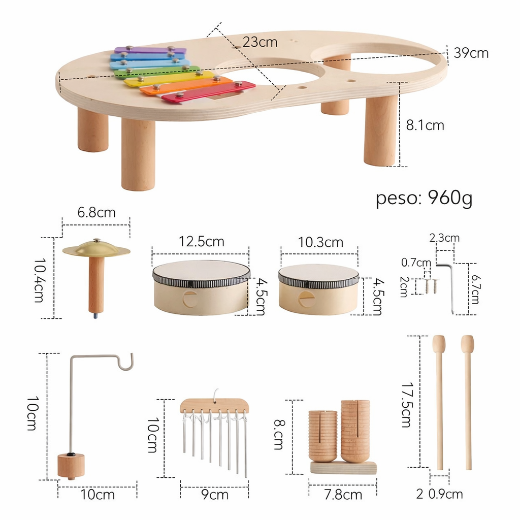 Instrumentos Musicales