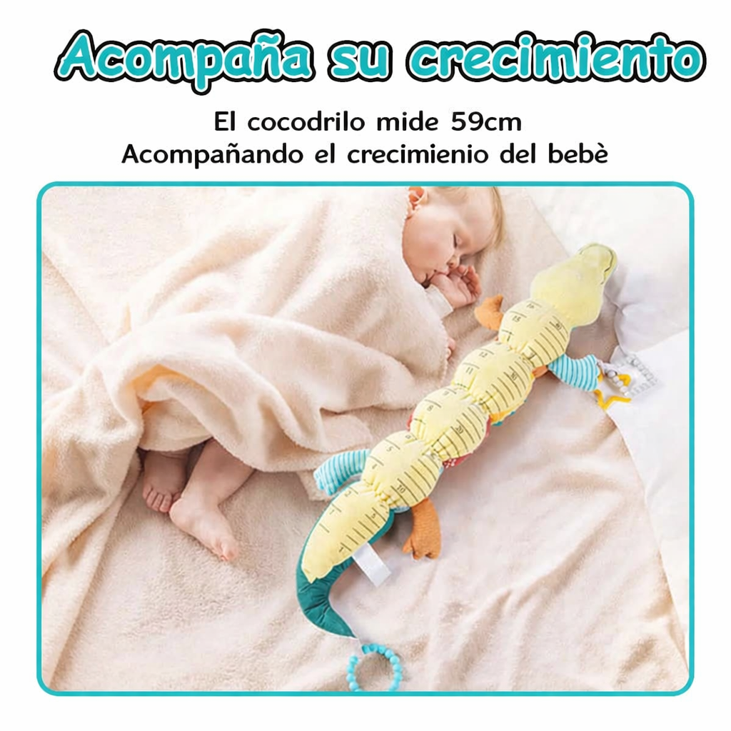 Cocodrilo Musical ·Arrastre y Gateo·